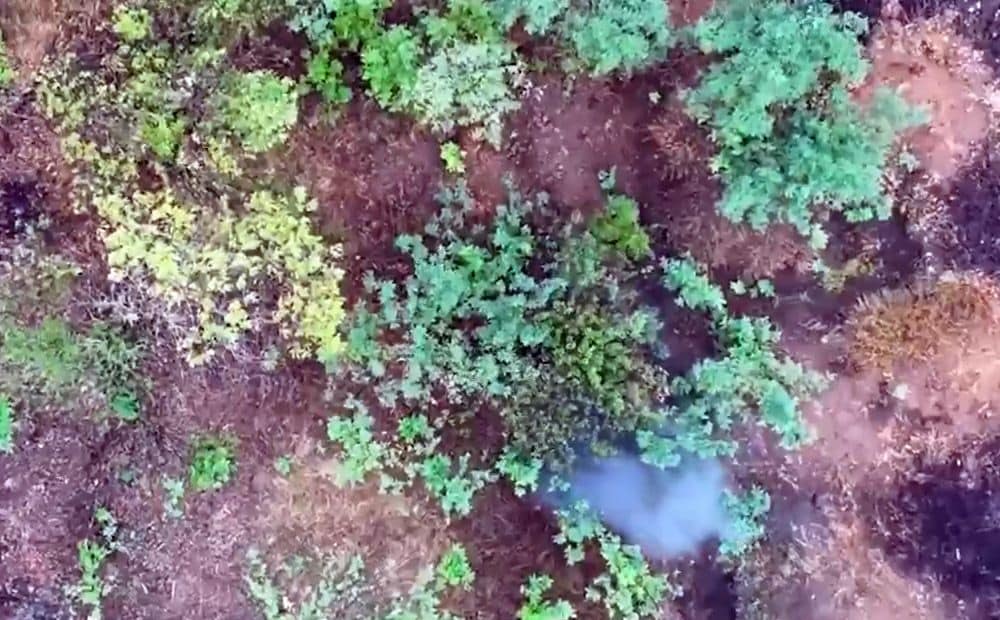 Krievu okupanti Pokrovskas virzienā sākuši sūtīt uzbrukumā sievietes (18+)