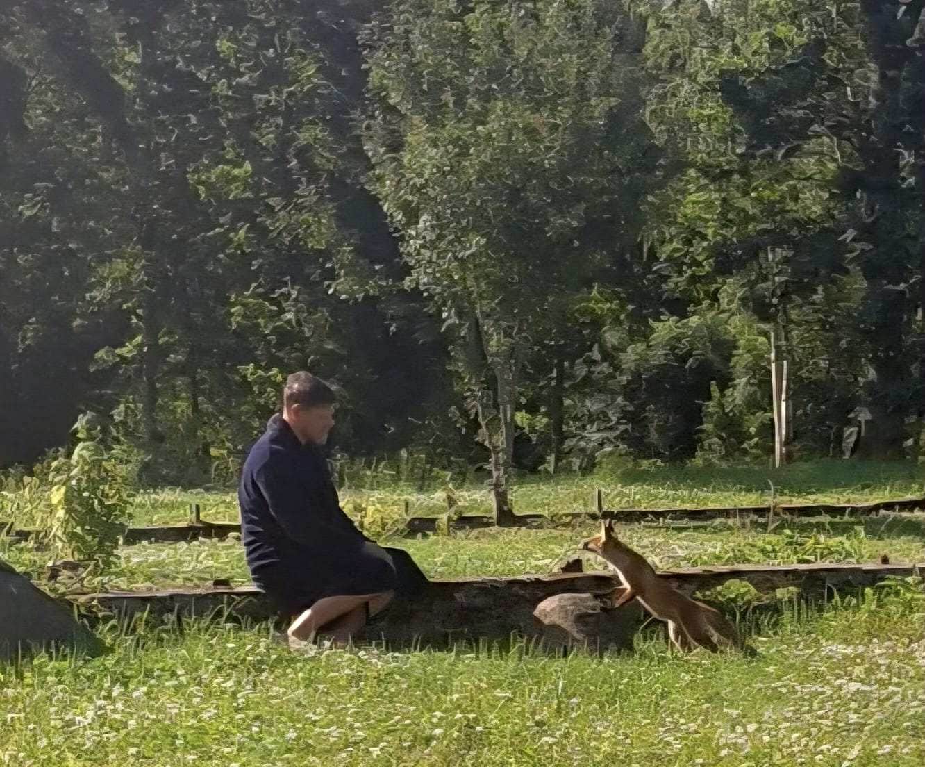 Dziednieka Jura Bērzkalna draudzība ar lapsu