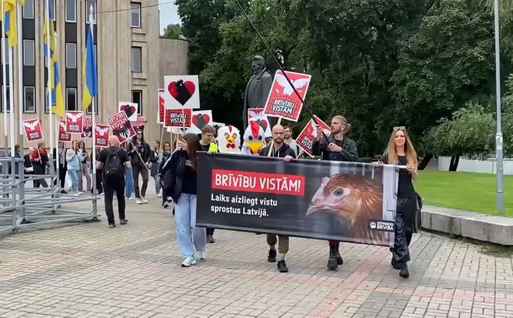 Aktīvisti dodas protesta gājienā par dējējvistu turēšanu sprostu sistēmās