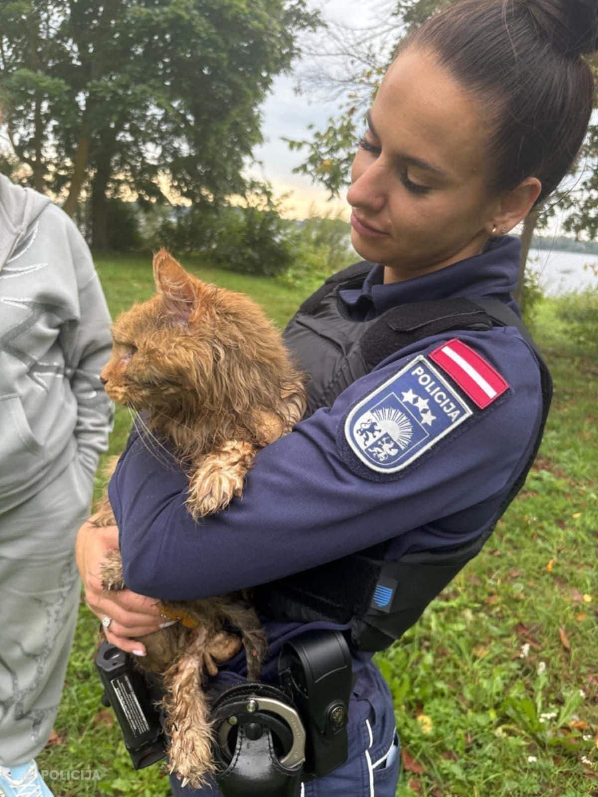 Policists izglābj upē iemestu kaķi