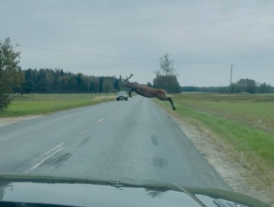 Alūksnes pusē manīts tāllēkšanas čempions