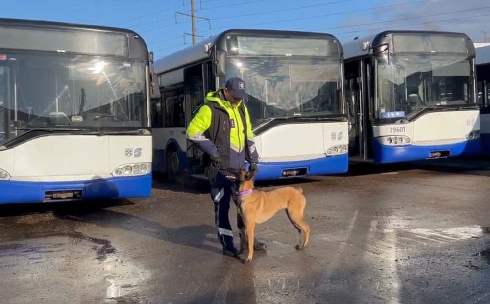 "Rīgas satiksme" sniedz treniņu iespēju Valsts policijas jaunajiem četrkājainajiem "studentiem"