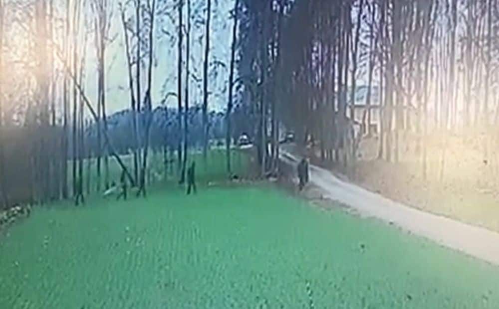 Aculieciniece Krāslavas novadā nofilmē Latvijas robežu nelegāli šķērsojušus migrantus