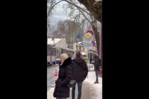 Rīgā nolūzis koks aptur tramvaju kustību