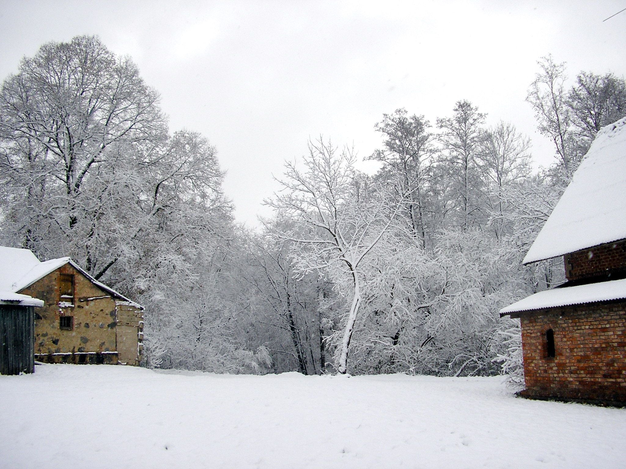 Vai ziema Latvijā ir atcelta?
