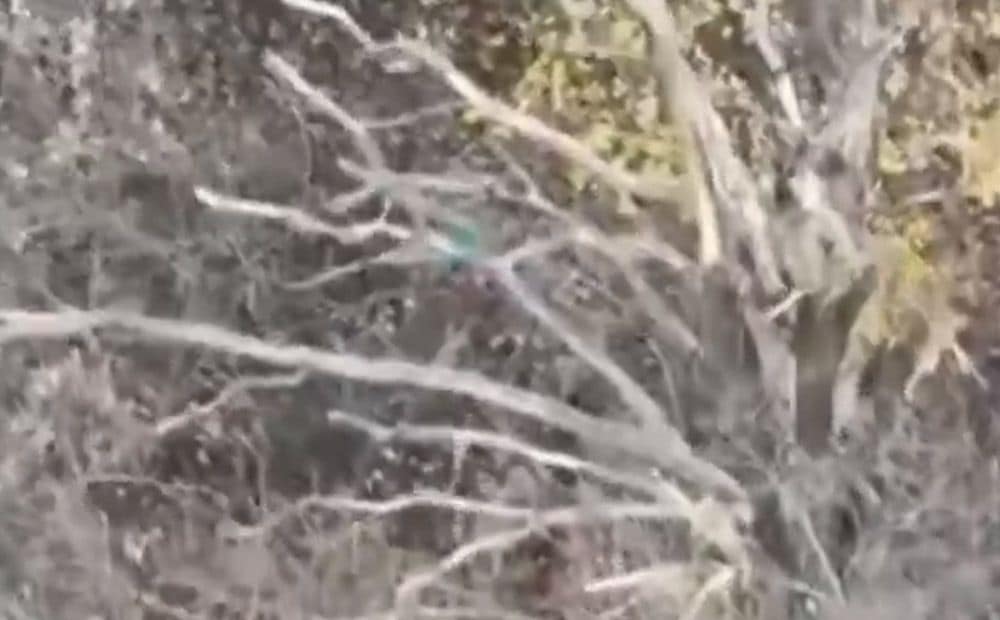 Ukrainas aizstāvji Limanas sektorā tuvcīņā iznīcina 7 krievu iebrucējus