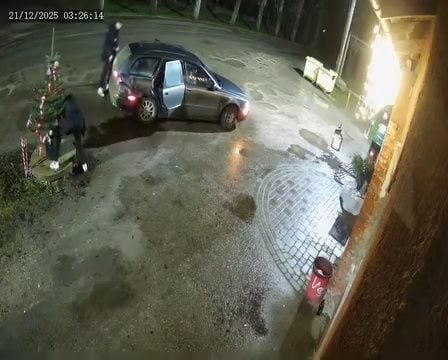 Jaunieši Jaungulbenē nozaguši pagalmā izliktu eglīti