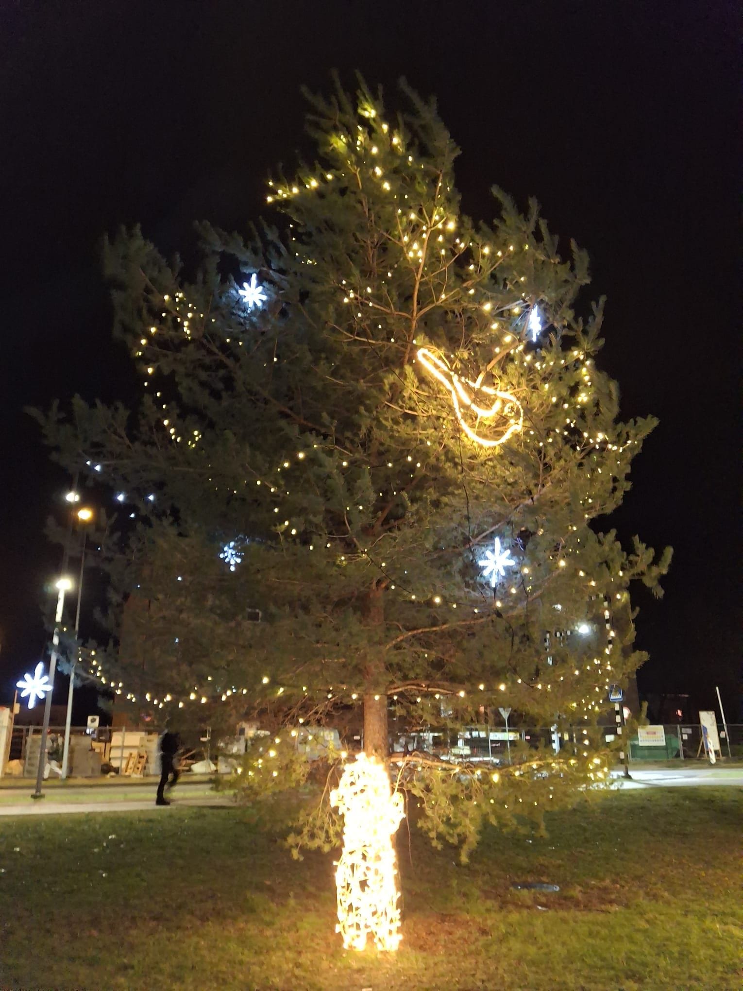 Vējš Salaspilī purina Ziemassvētku eglītes