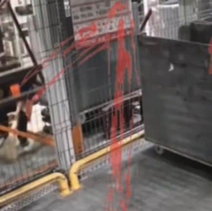 Kravas lifts nolaižas uz apkopējas