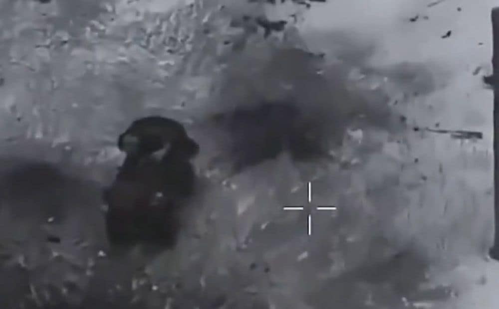 Ukrainas aizstāvju piebeigtie okupanti, kas meģināja uzbrukt Novopavļivkas virzienā (18+)