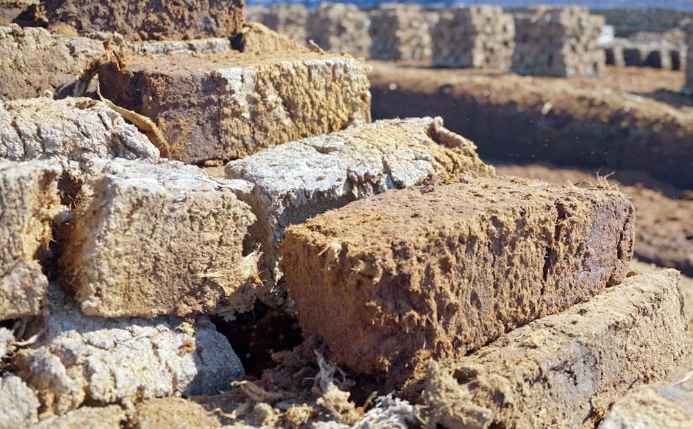 Kūdras purvi – Latvijas dabas dārgums vai klimata slogs?