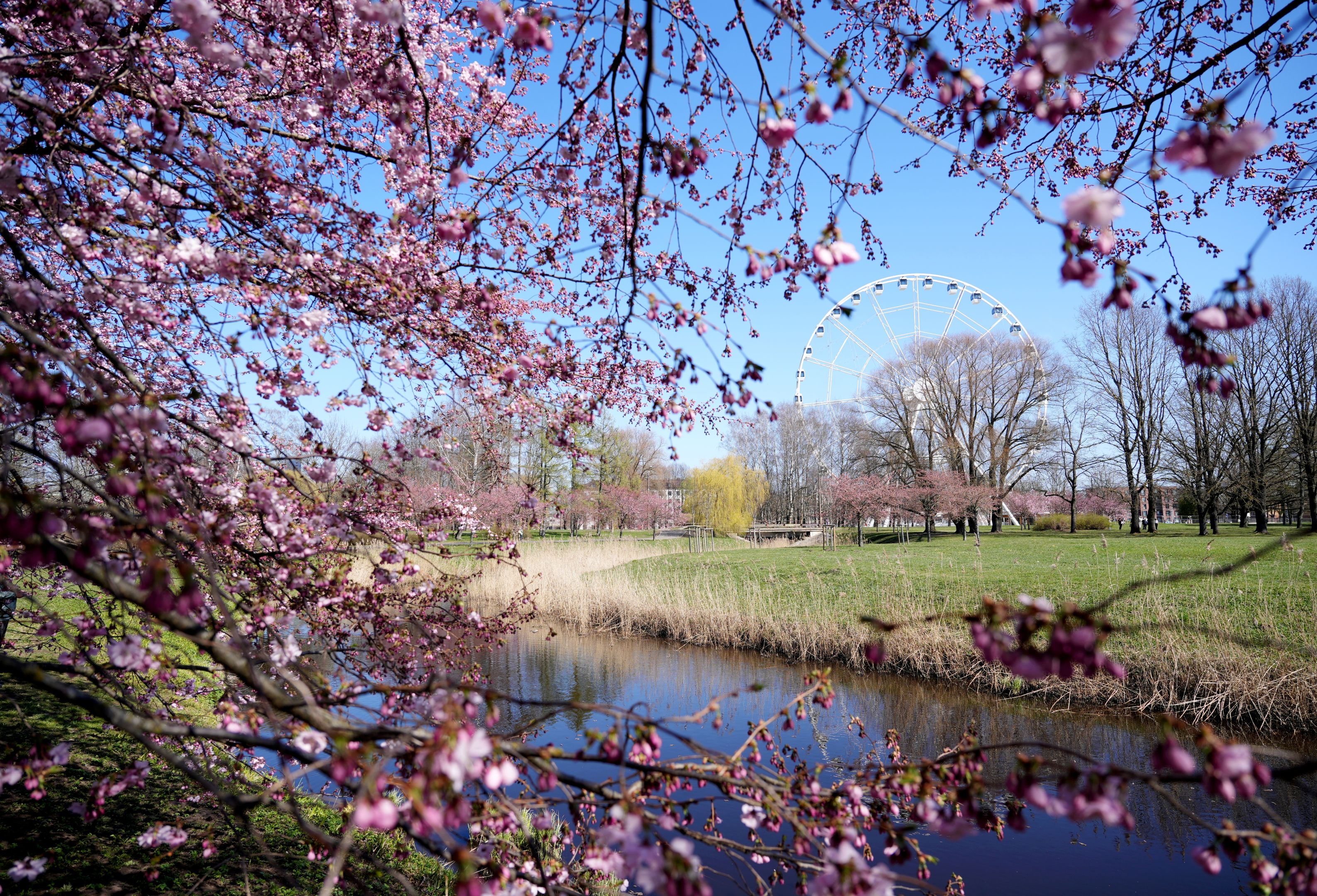 Уже в скоро в Латвии - до +15!