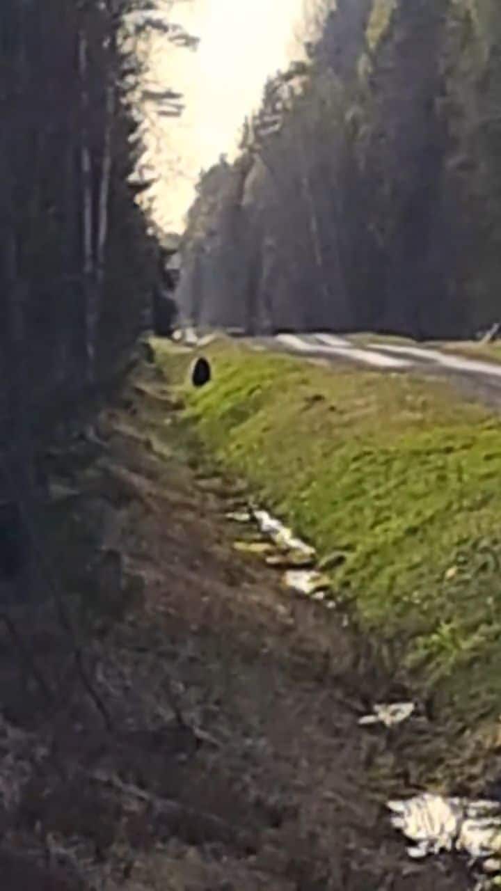 Zemessargi mežā sastapušies ar lāci