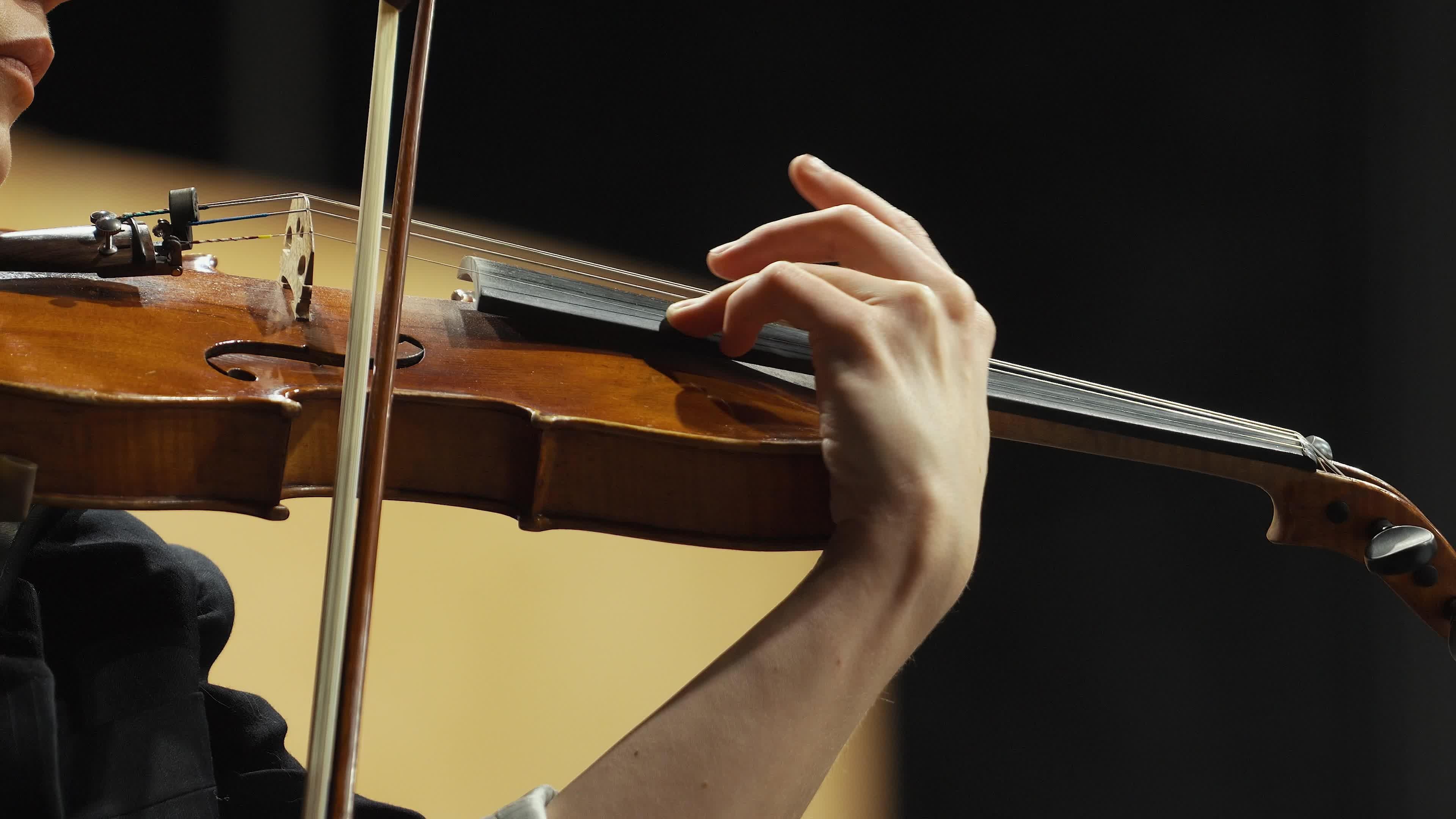 Ozols, Instrumenti, Gustavo un ansis vienosies īpašā muzikālā sveicienā Rīgai