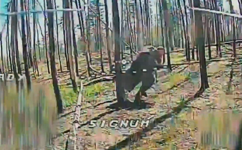 Ukrainas dronu piloti Limanas mežā iznīcina okupantus, kuri mēģina nonākt savās pozīcijās
