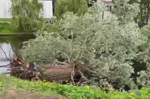 Rīgas kanālā iegāzusies vairāk nekā 100 gadus veca apse