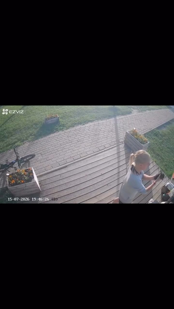 Sieviete no Ādažu mini zoodārza nozog zaķēnu