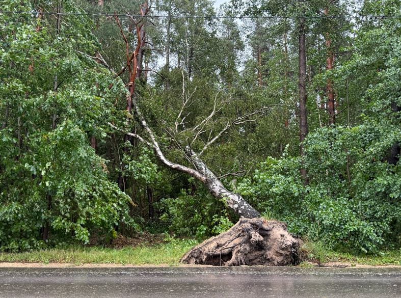 Vētras sekas Vecdaugavā