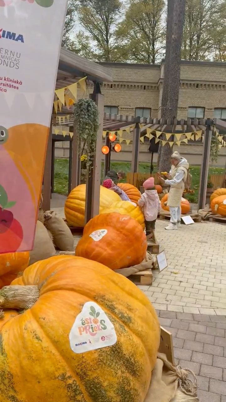 Bērnu slimnīcā noskaidrots Latvijas lielākā ķirbja čempions