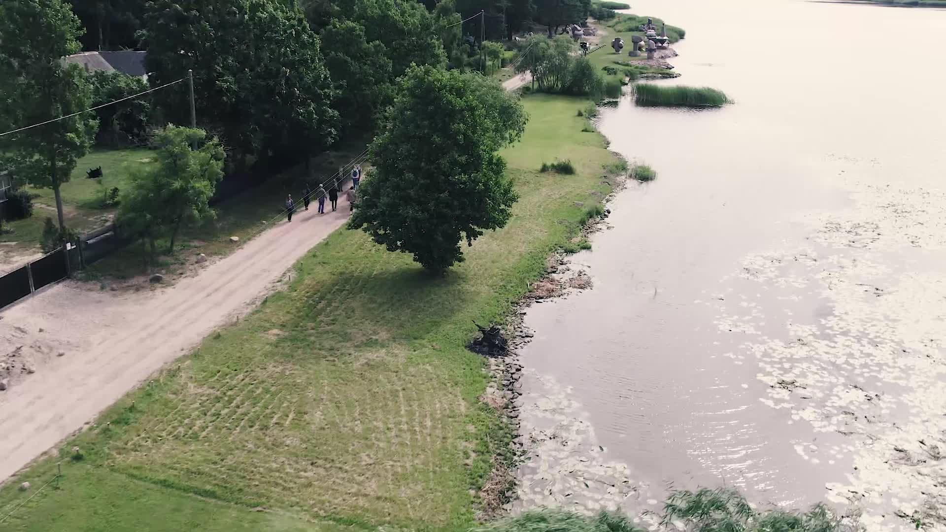 Viena. Vide. Visiem: Dabiskās pļavas – Latvijas dabas gaistošā bagātība
