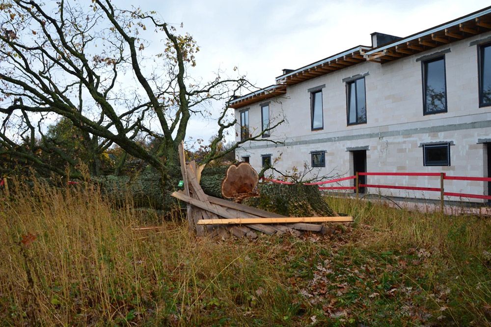 Igaunija, kas pārtapusi par "Stounīdžiju" un Mārupes dižozola nelegālā nozāģēšana. "Sapinušies tīklos" 75. sērija