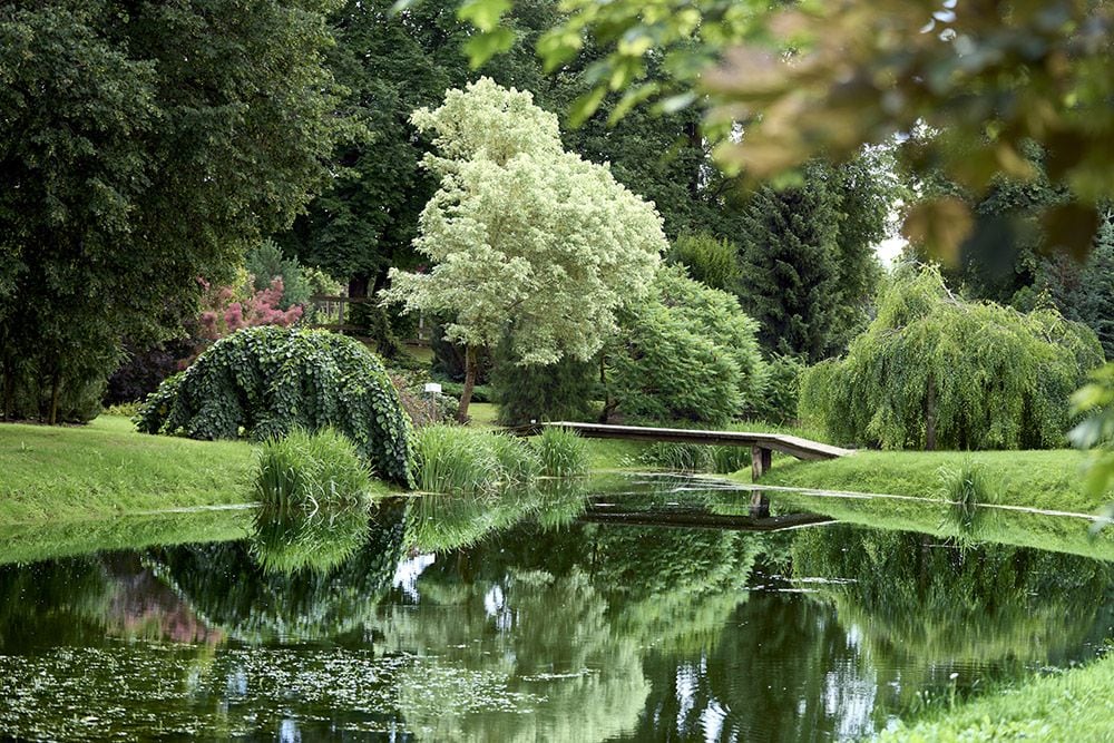 100 labi padomi: Zaļenieku kokaudzētavā zaļo "Iepazīšanās dārzs"