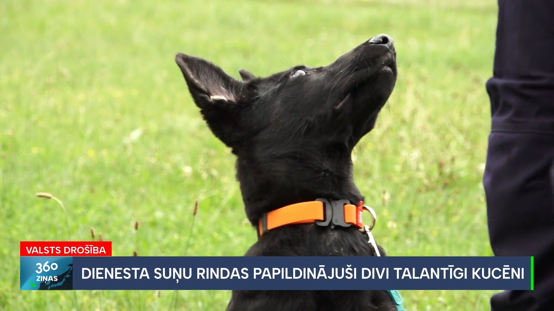 360 Ziņas