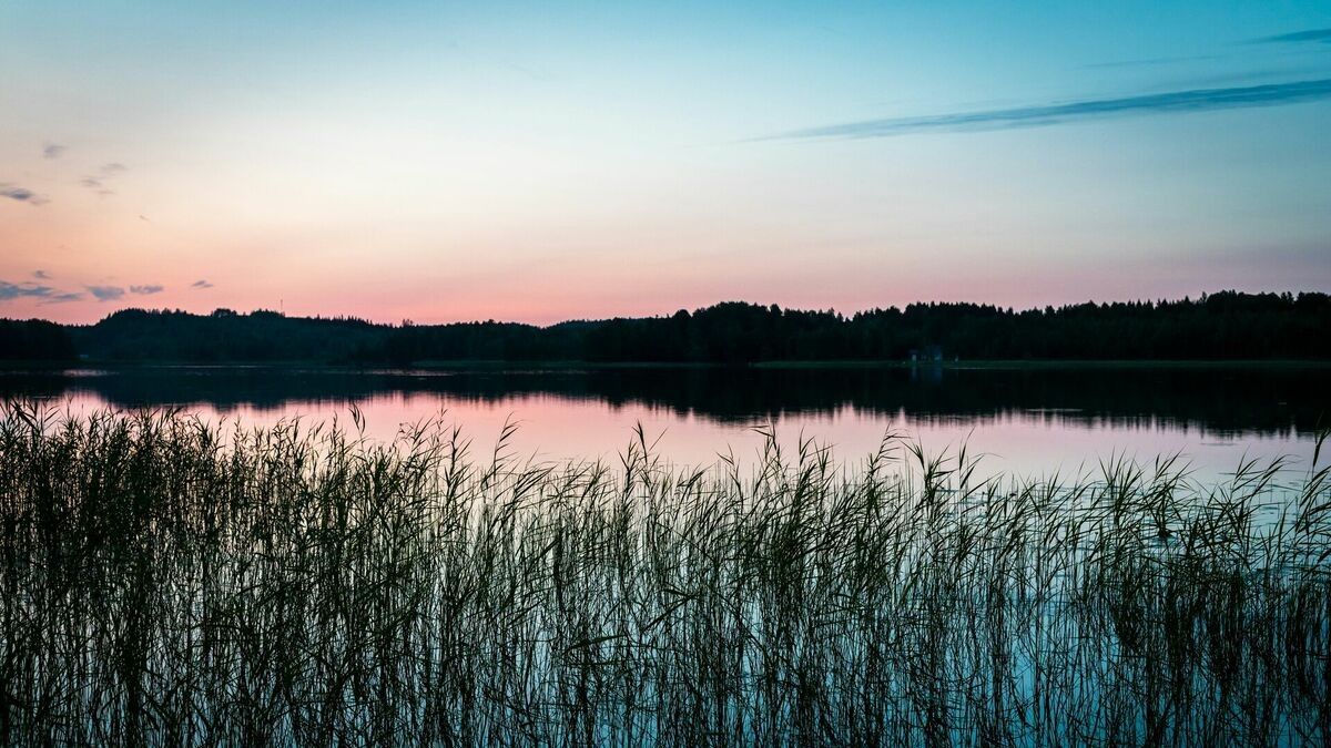 360 Ziņas