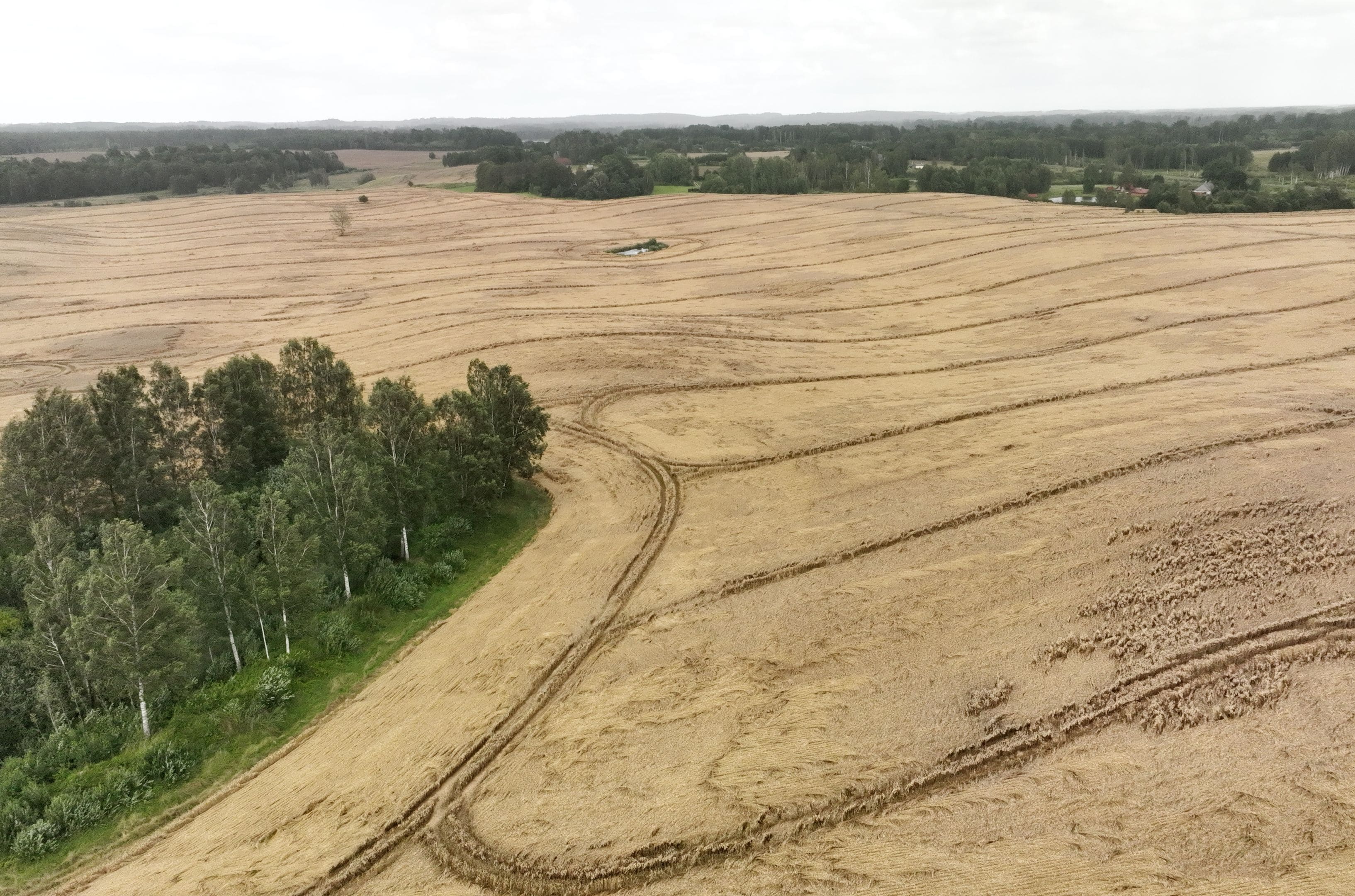 360 Ziņas