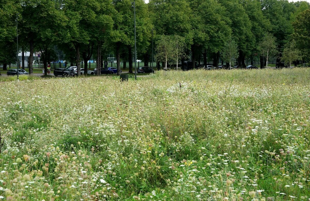 360 Ziņas