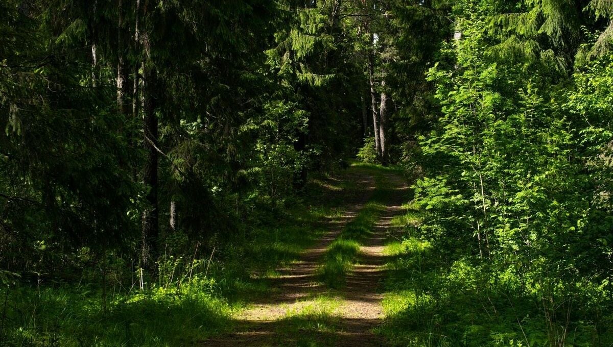 360 Ziņas