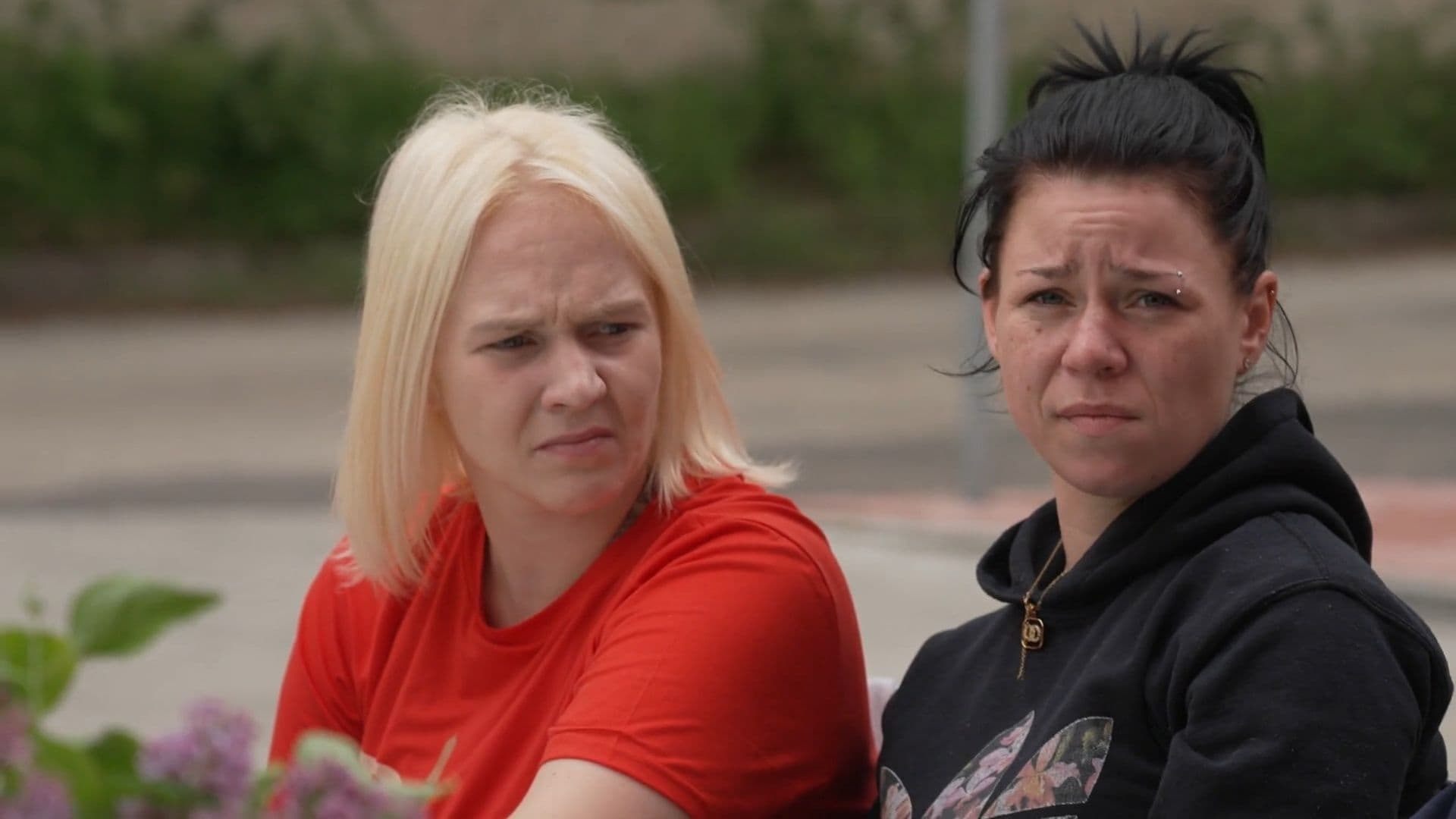 Caur ērkšķiem uz...