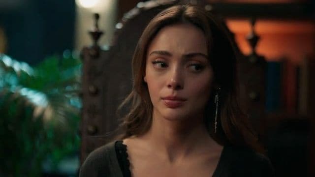 Liktenīgā vēstule