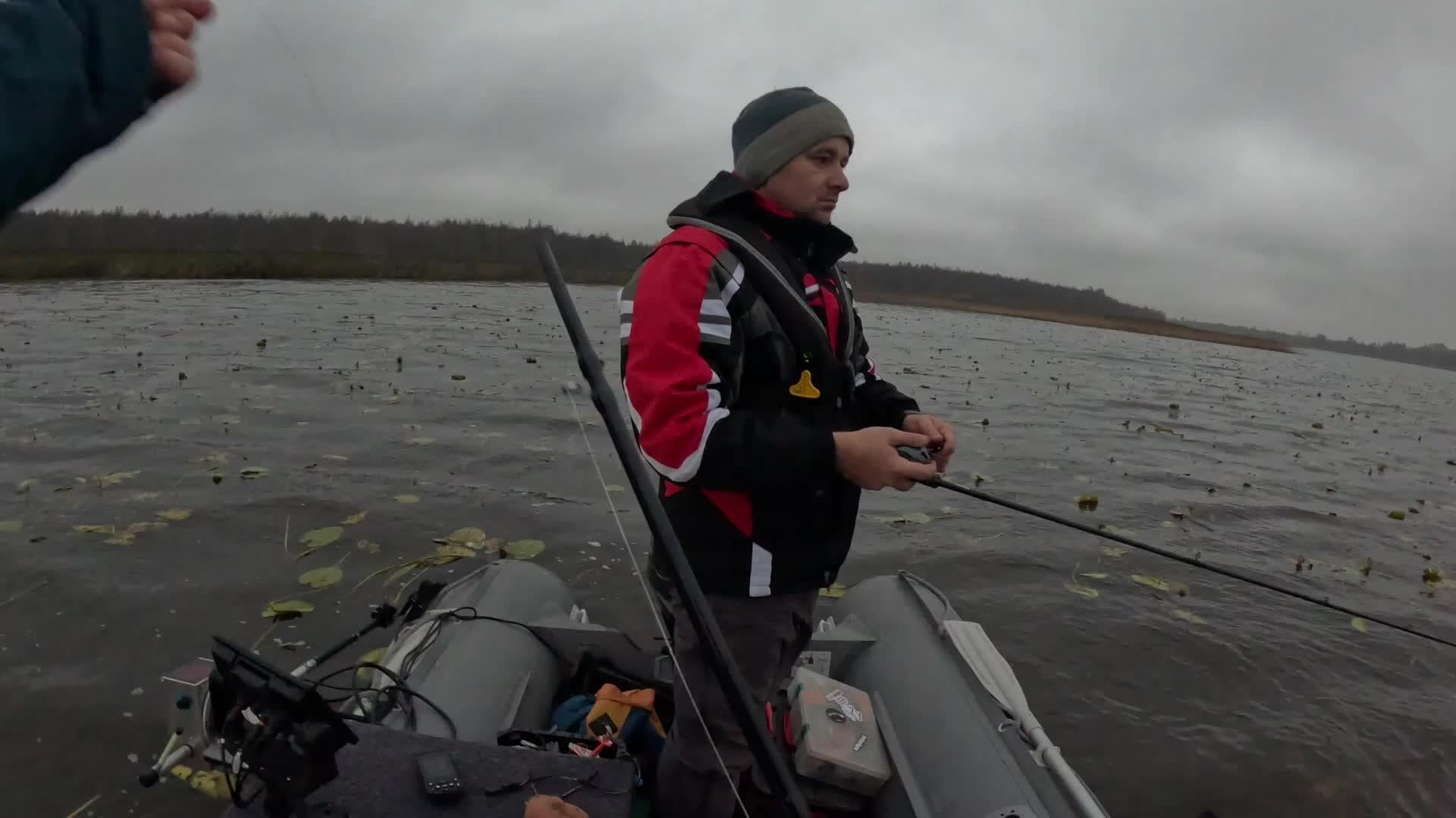 Zaļais makšķernieks