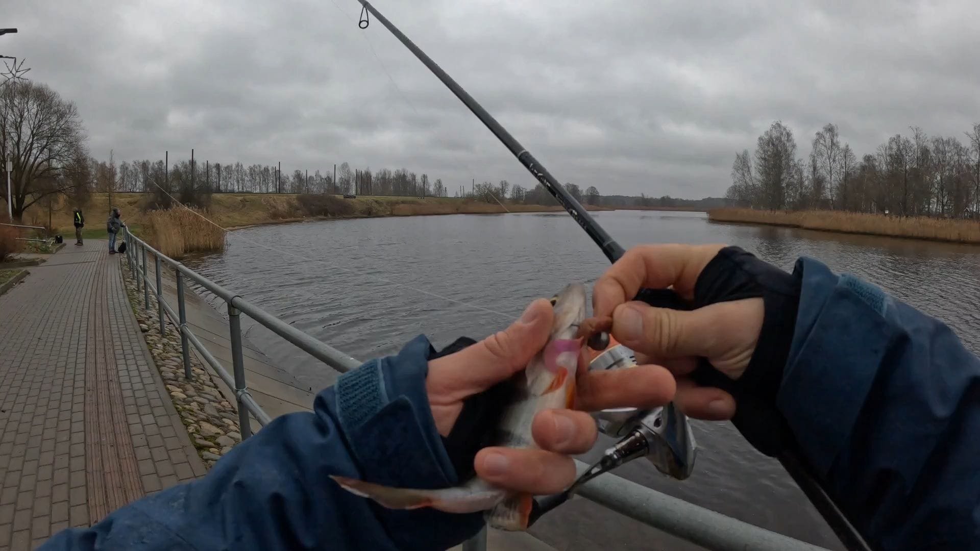 Zaļais makšķernieks