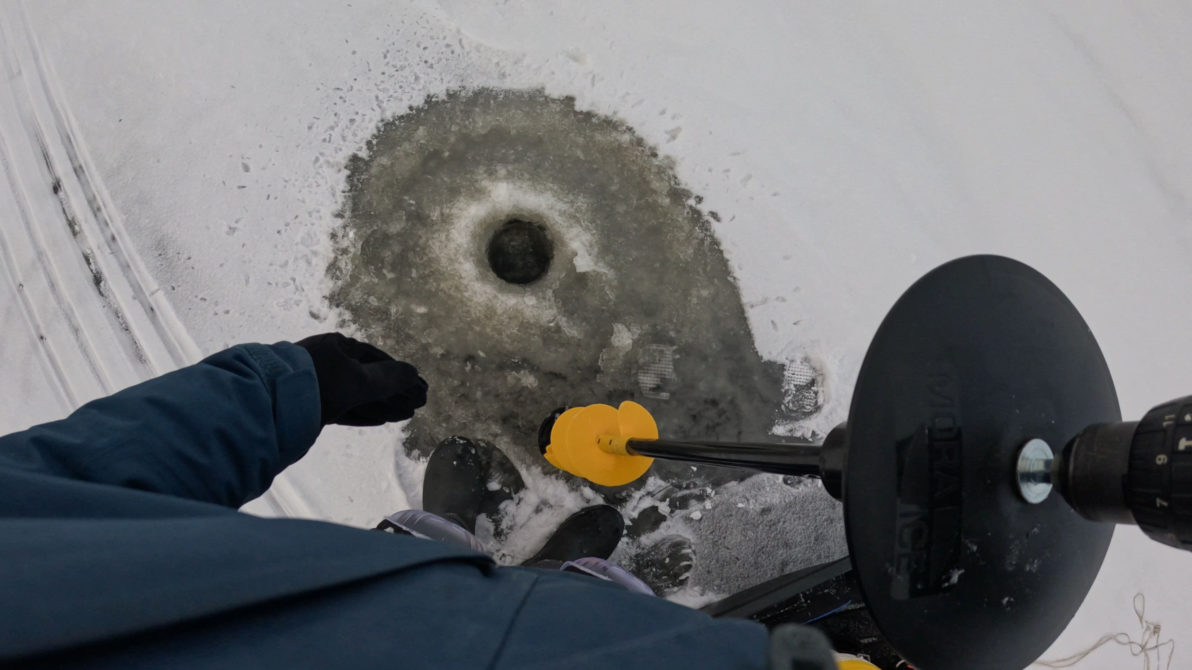 Zaļais makšķernieks