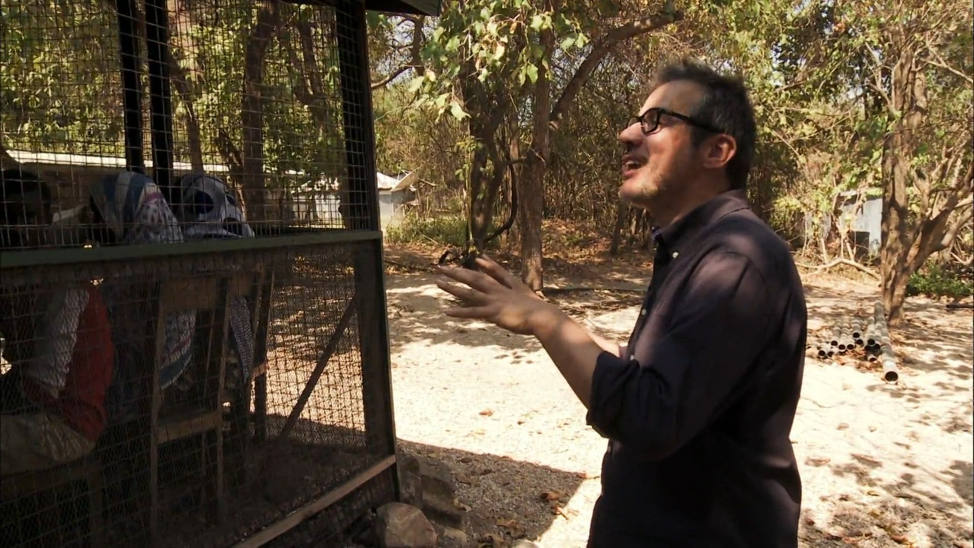 Vilcienā cauri pasaulei 4