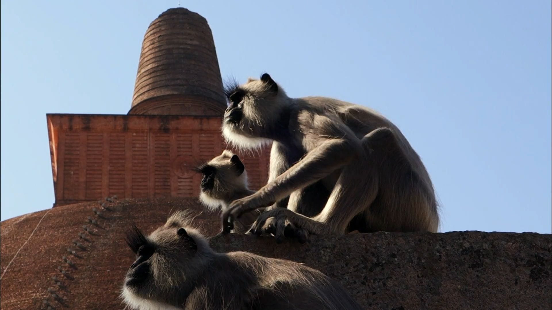 Vilcienā cauri pasaulei