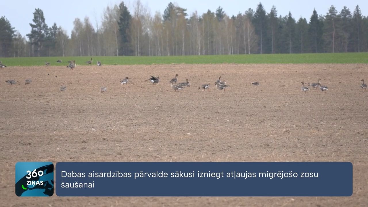 360 Ziņas