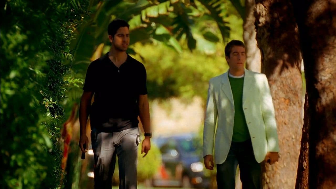 CSI Maiami