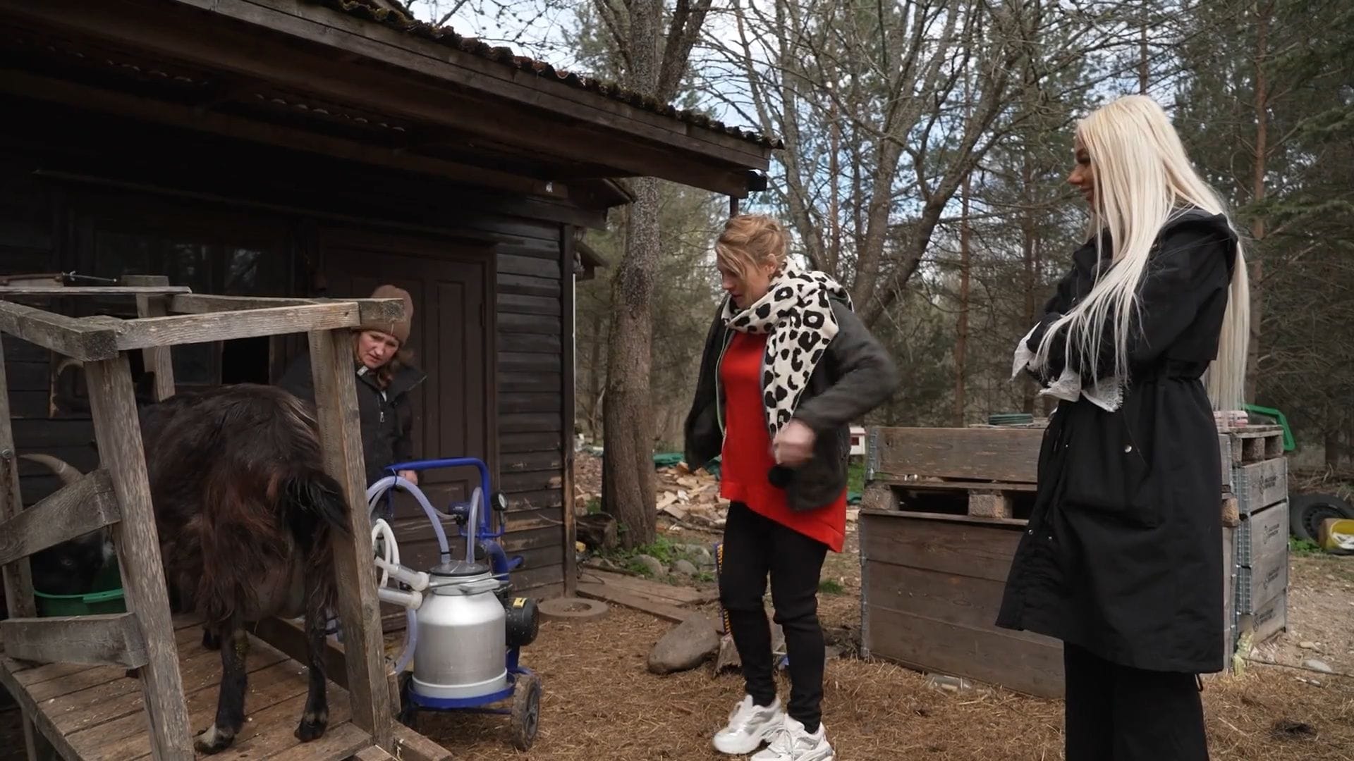 Slavenības. Bez filtra