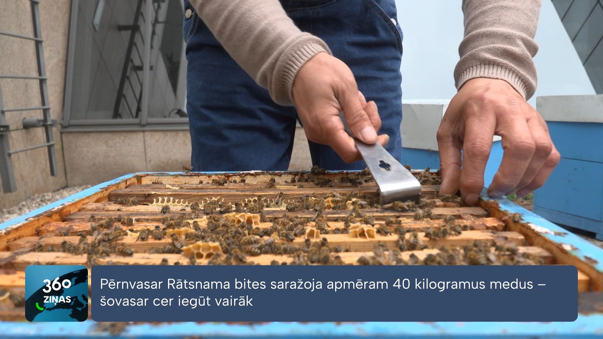 360 Ziņas