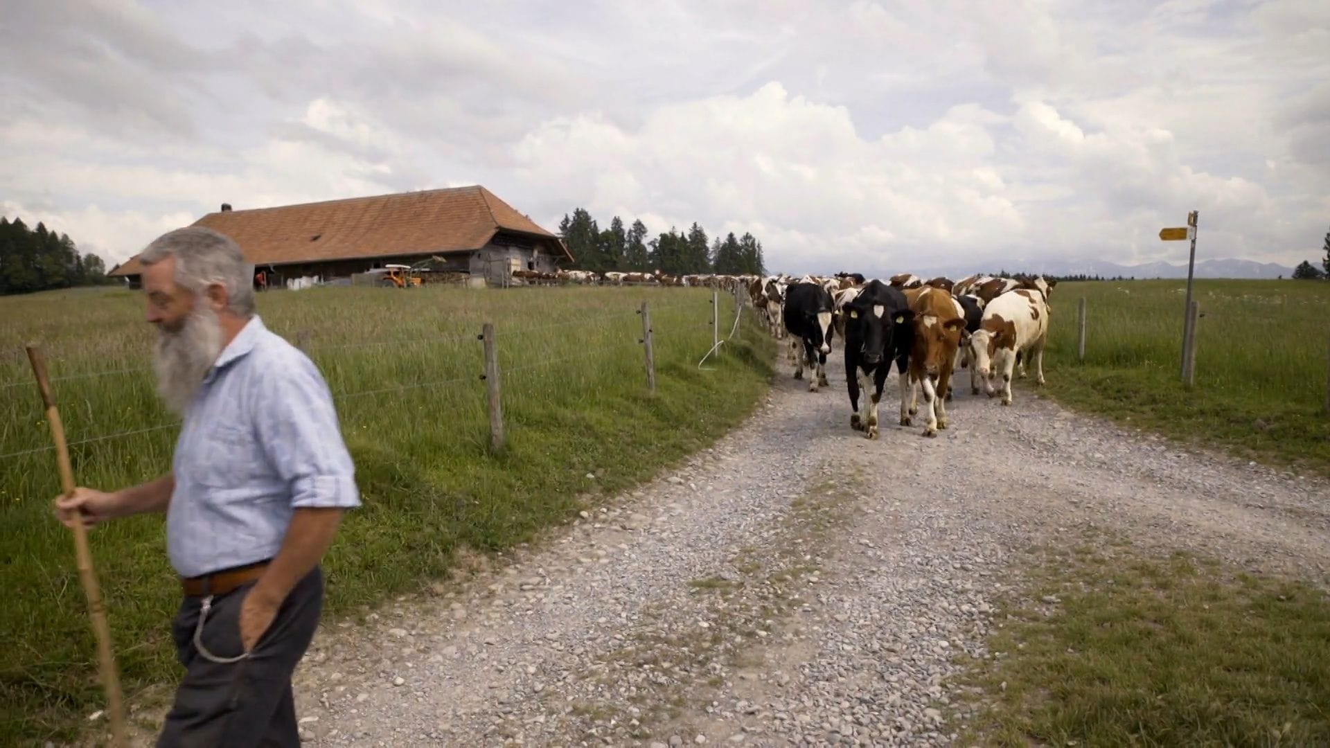 Vilcienā cauri pasaulei 7