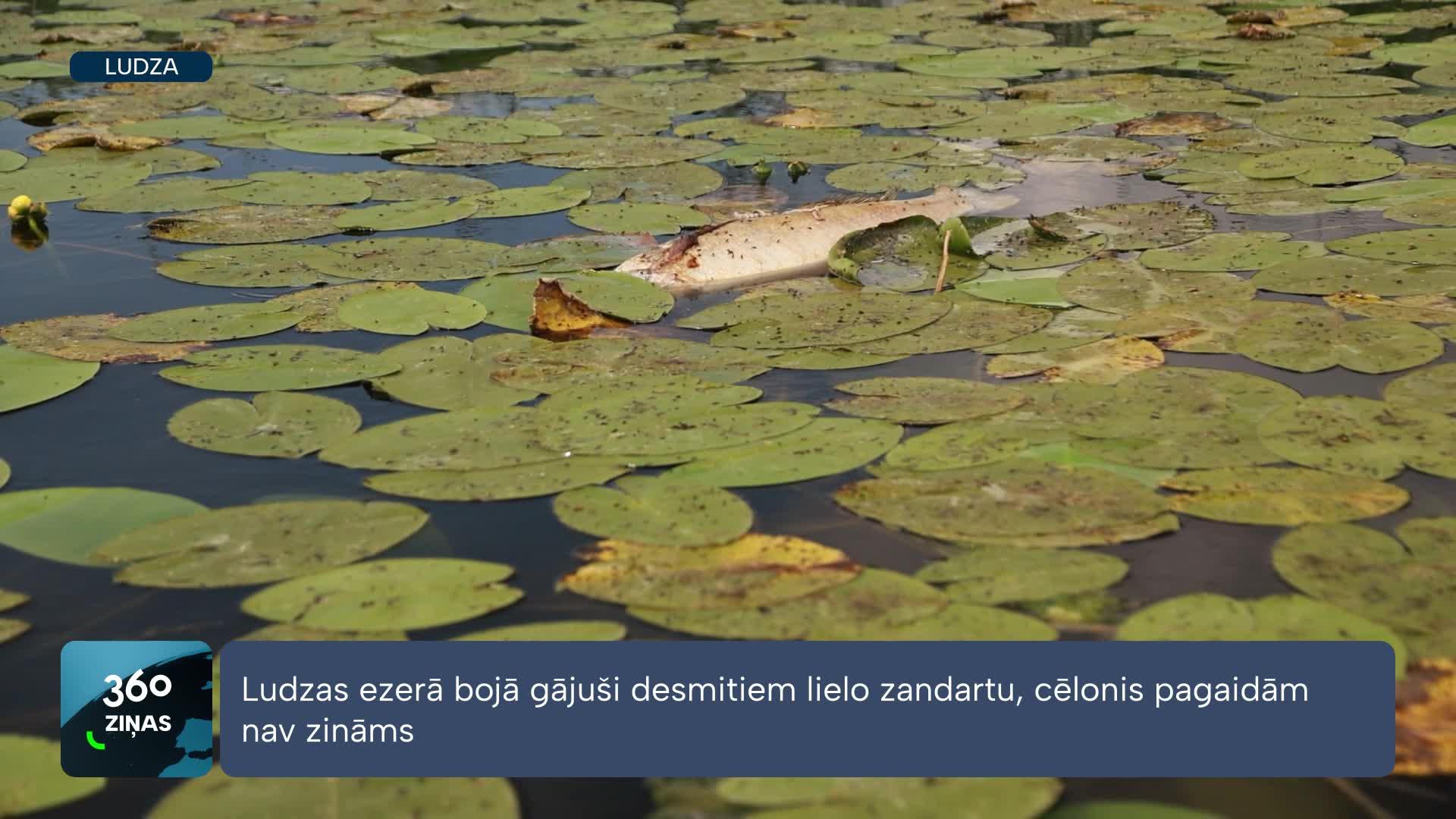 360 Ziņas