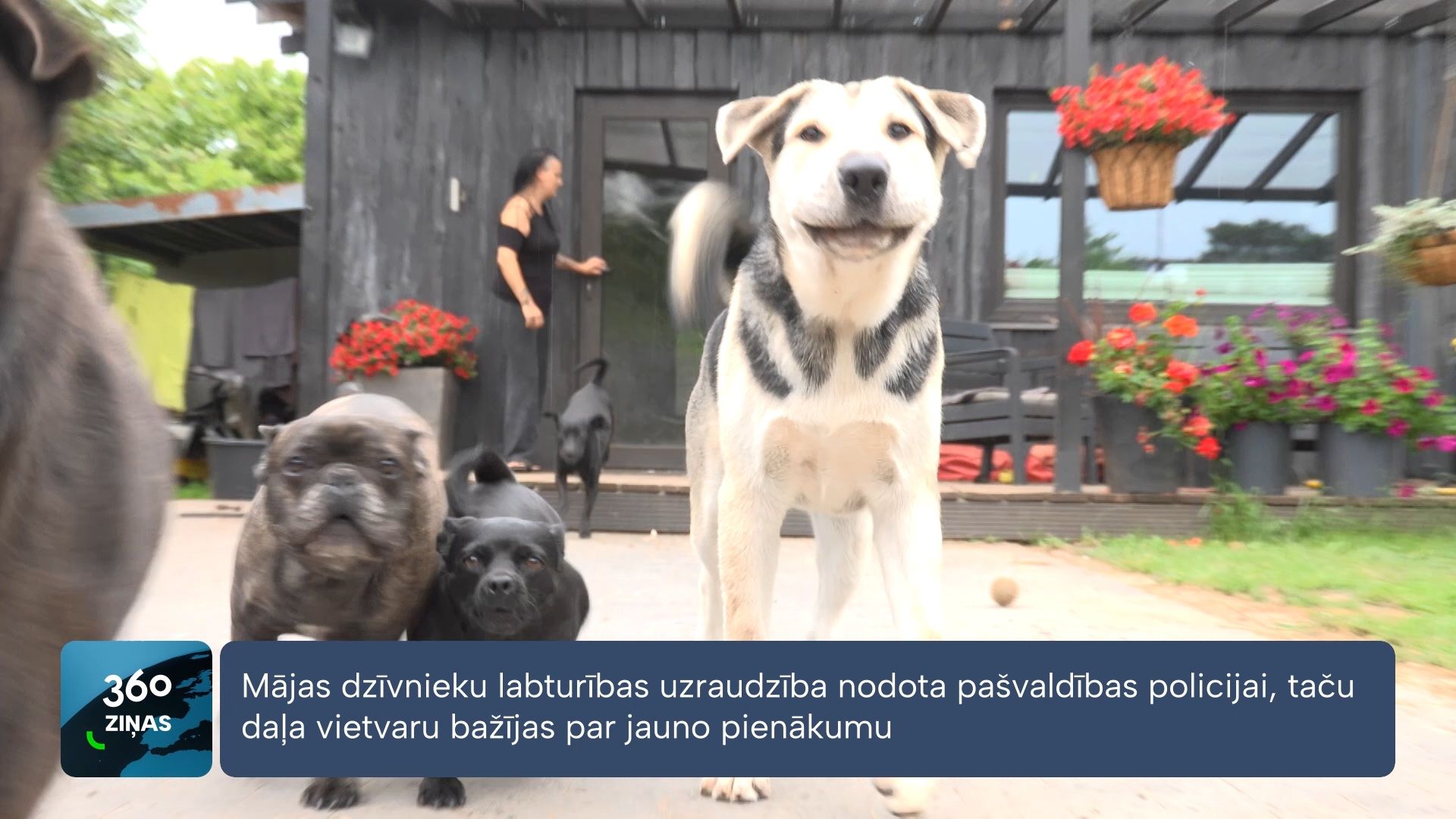 360 Ziņas
