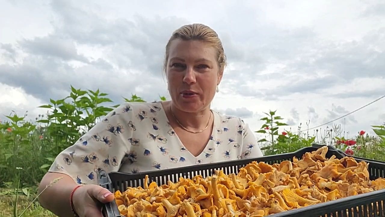 Slavenības brīvsolī