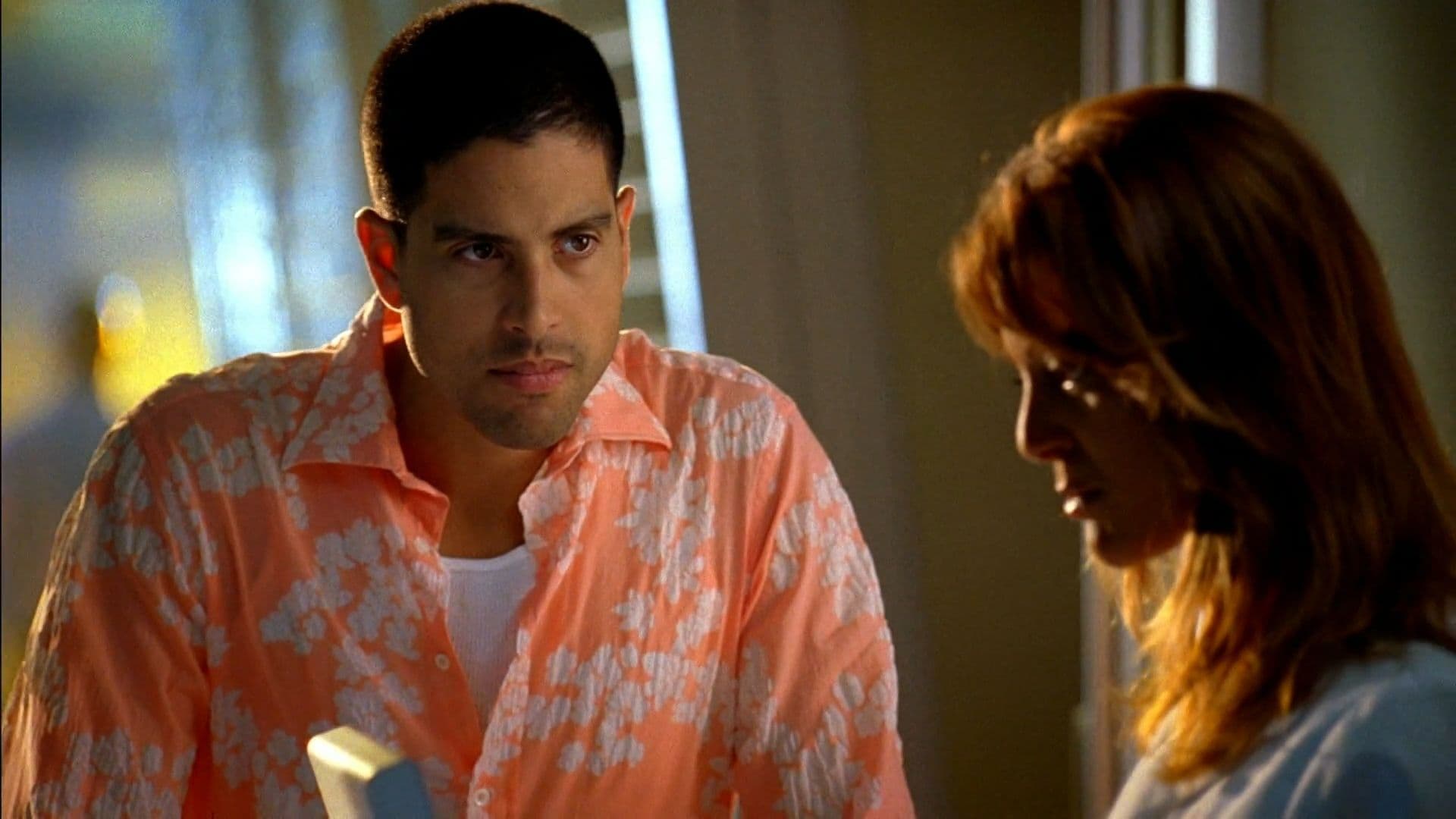 CSI Maiami 6
