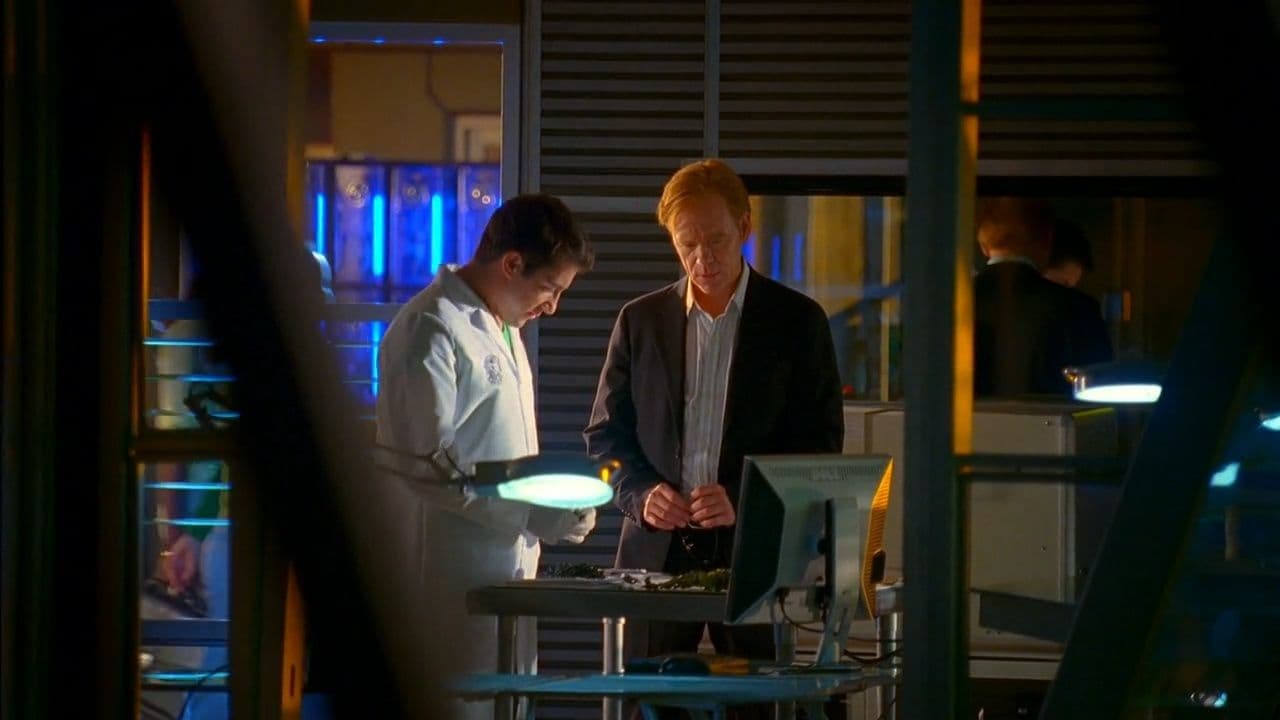 CSI Maiami