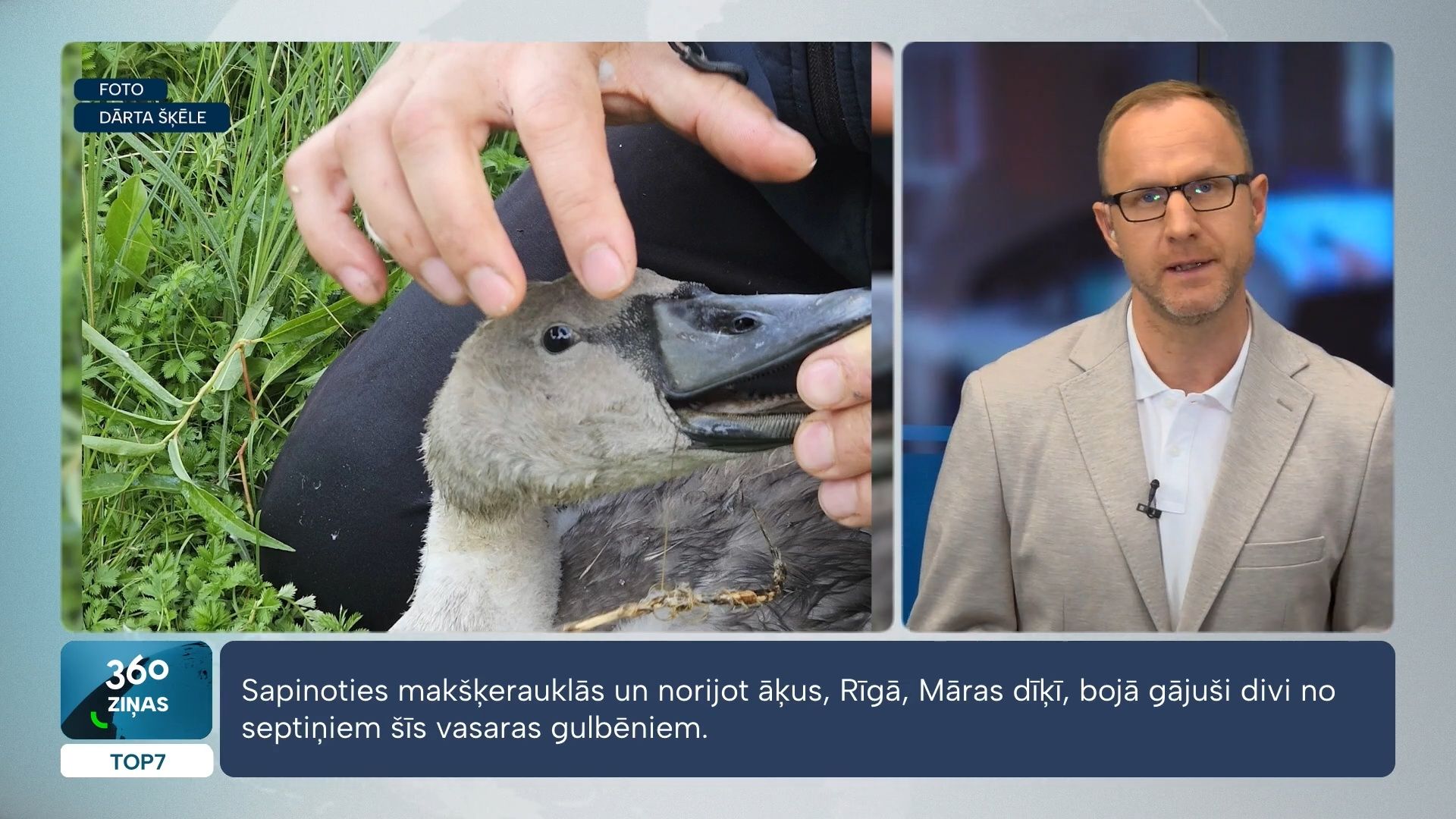 360 Ziņas