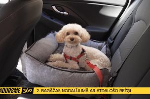 Drošība arī mīlulim: Kā pareizi pārvadāt dzīvnieku?